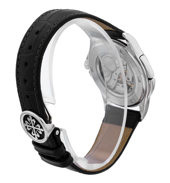 Patek Philippe Complications 5134P-001 Image 3